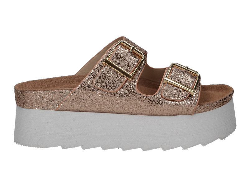 Colors Of California Tongues Rose