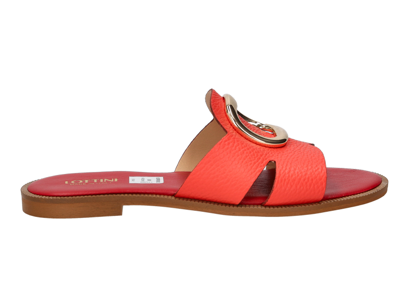 Lottini Muilen Koraalrood