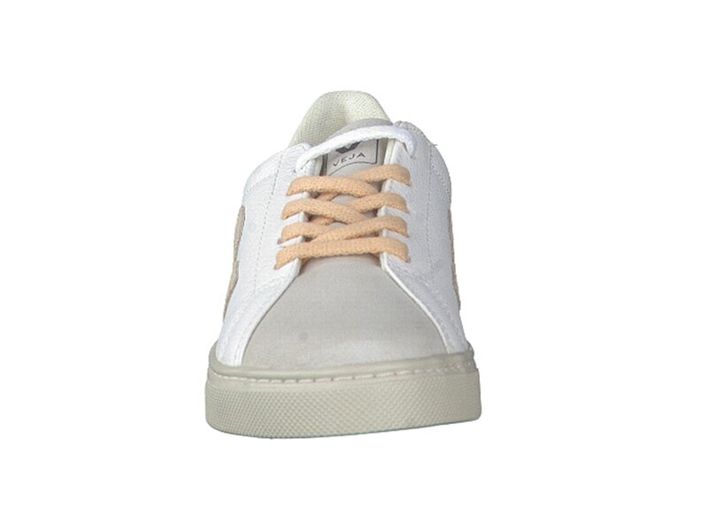 Veja Baskets Blanc