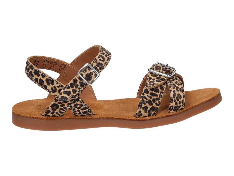 Pom D'api Sandalen Bruin