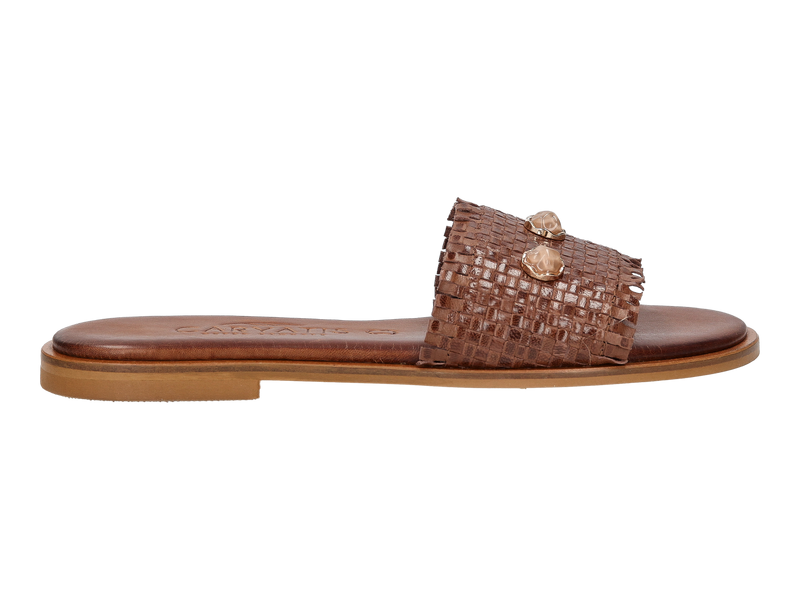 Caryatis Muilen Bruin