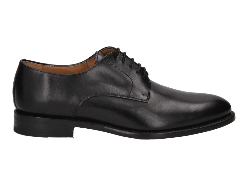 Berwick Veterschoenen Zwart