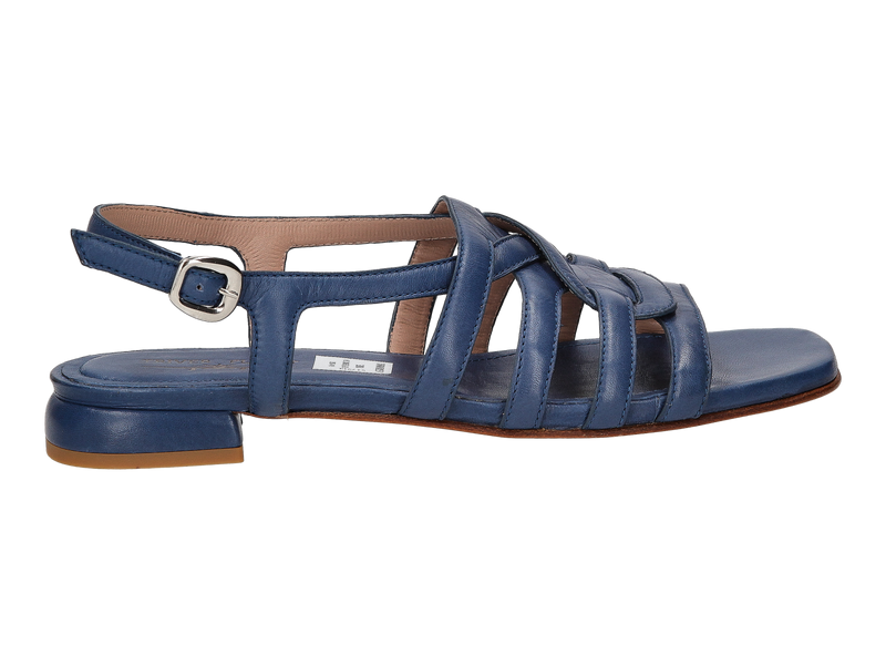 Triver Flight Sandalen Blauw