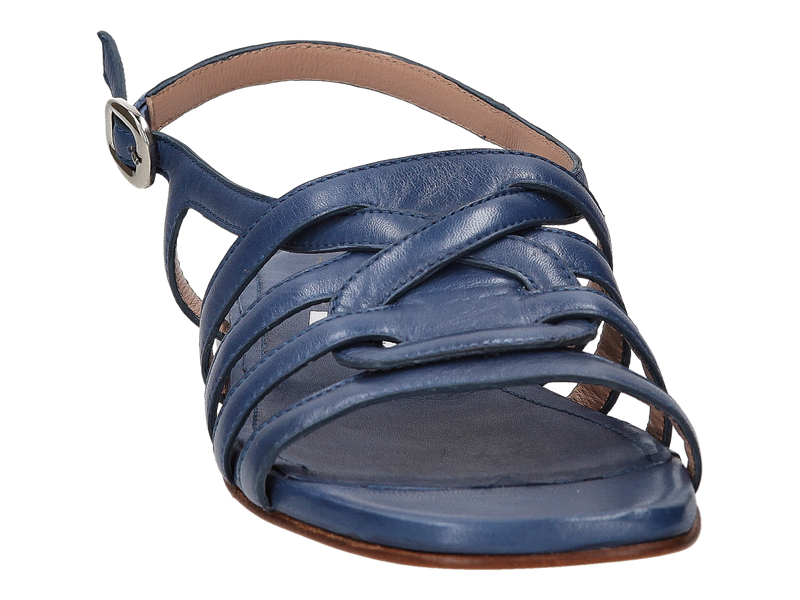 Triver Flight Sandalen Blauw