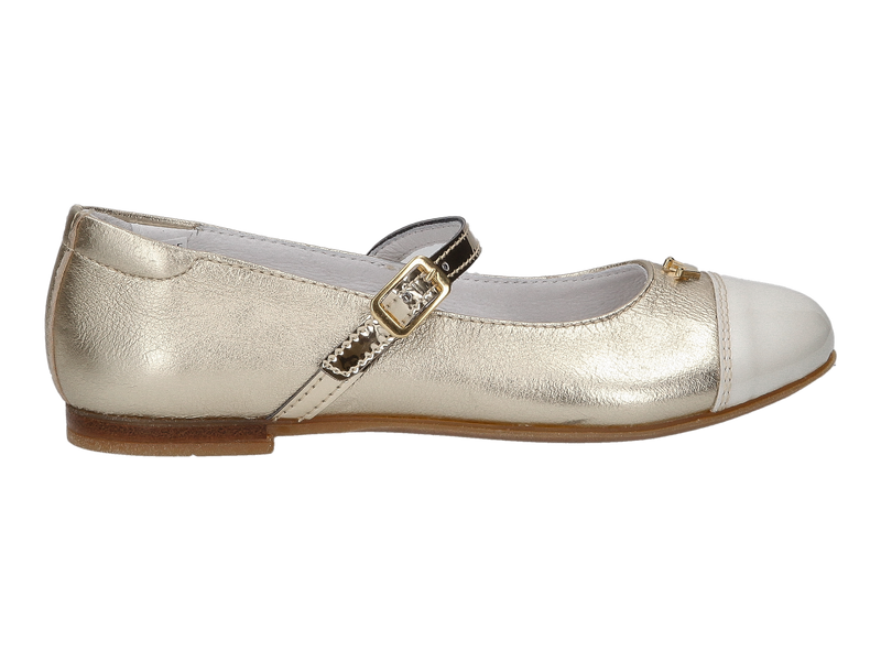 Banaline Ballerinas Goud
