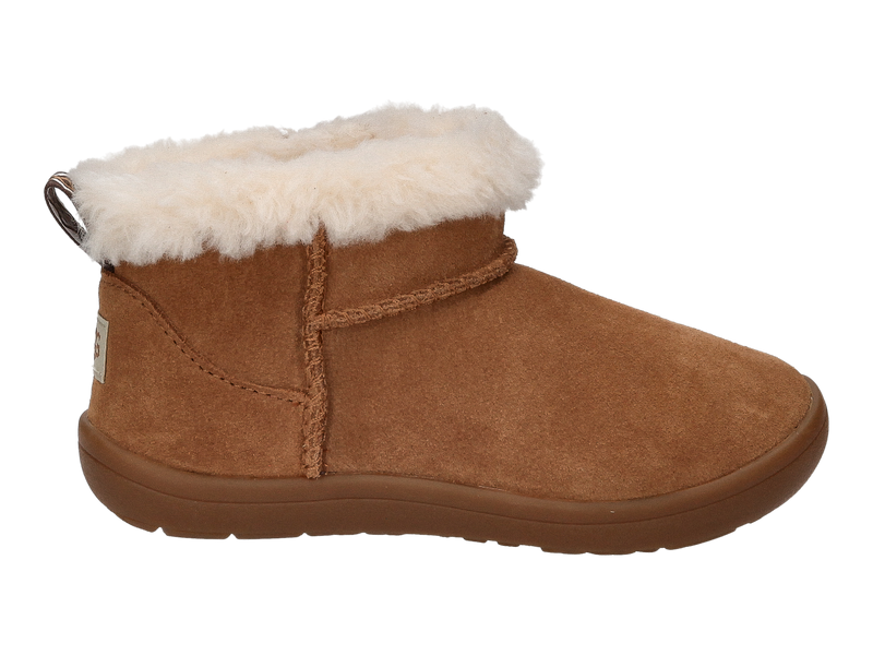 Ugg Boots Cognac
