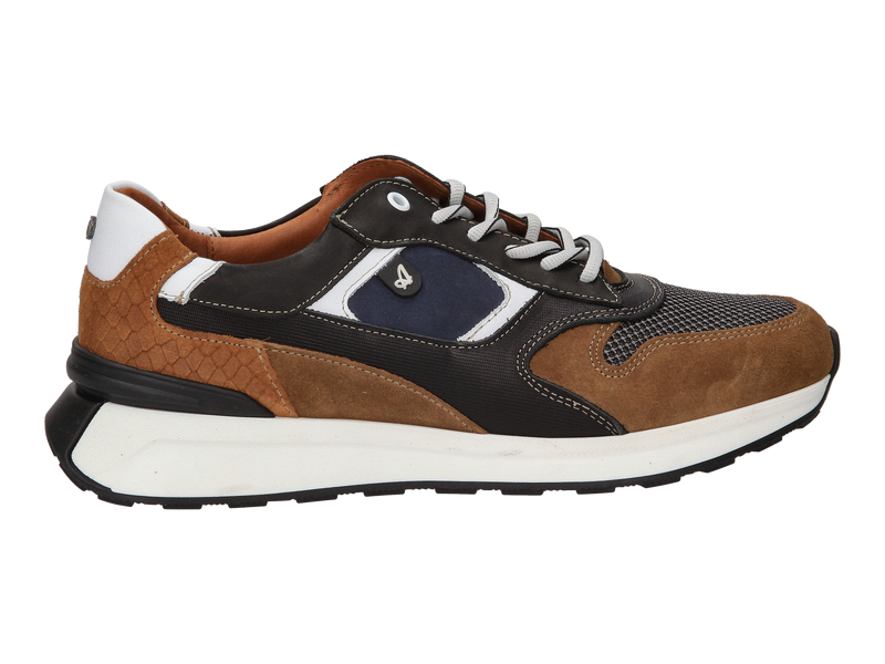 Australian Sneakers Bruin