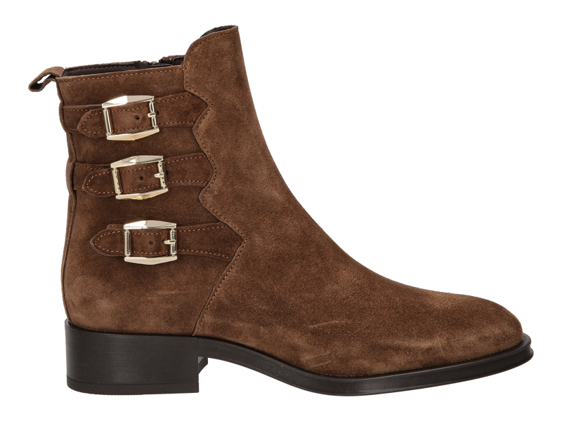 Alpe Bottines Brun