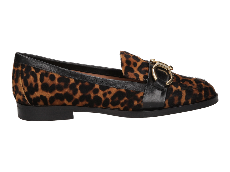 Roberto Festa Mocassins Bruin