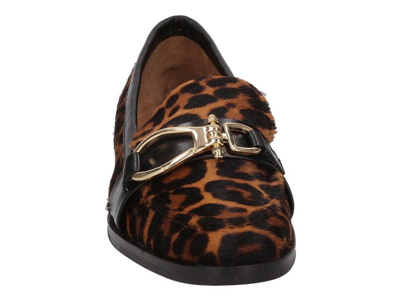 Roberto Festa Mocassins Bruin