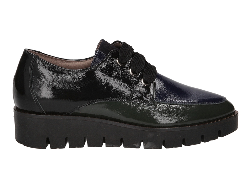 Dlsport Veterschoenen Blauw