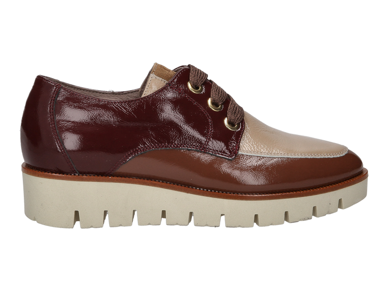 Dlsport Lace Shoes Bronze