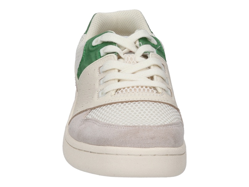 Sebago Sneakers Groen