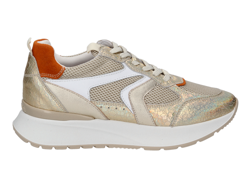 Nero Giardini Sneakers Gold