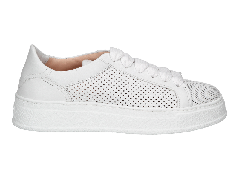 Bekijk product 'Agl Sneakers Wit' Agl Sneakers Wit