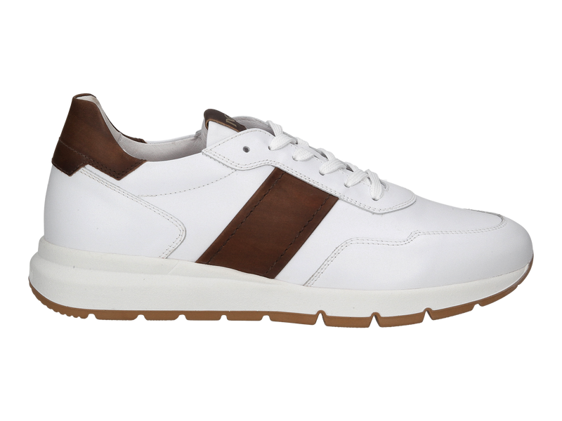 Nero Giardini Sneakers Bruin