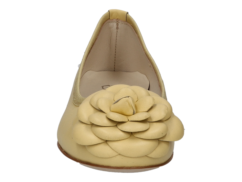 Odare Ballerinas Geel