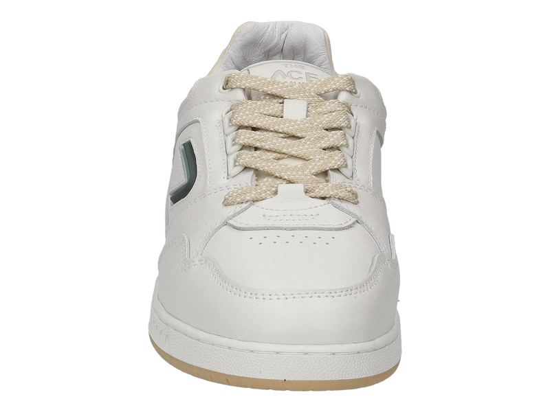 The Ace Hub Sneakers Groen