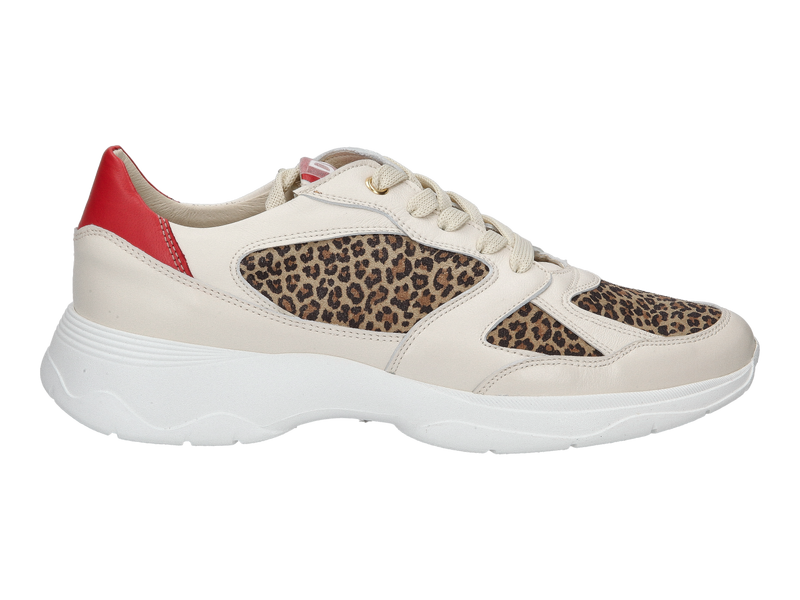 Dlsport Sneakers Beige