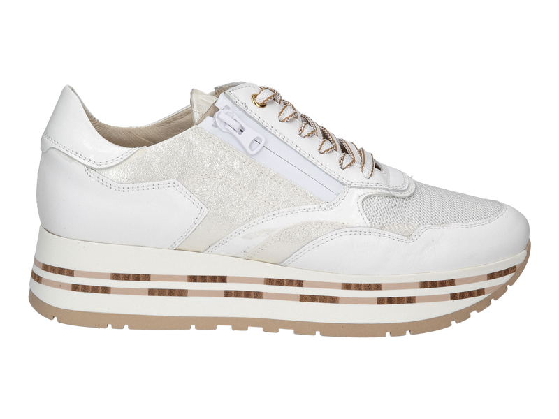 Dlsport Sneakers Wit