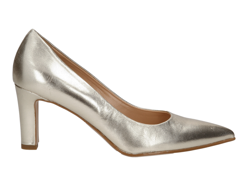 Altramarea Pumps Goud