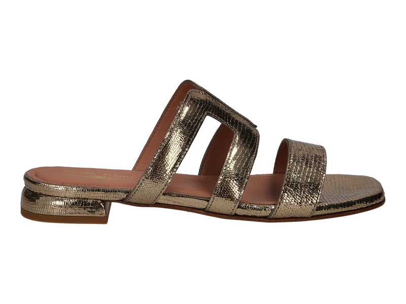 Triver Flight Slippers Goud