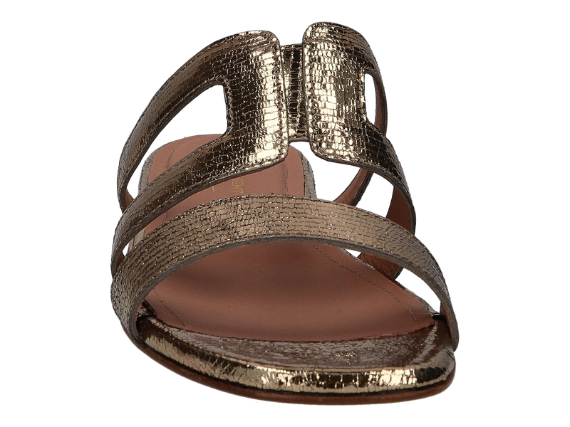 Triver Flight Slippers Goud