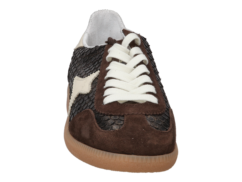 Bekijk product 'Ama Brand Sneakers Bruin' Ama Brand Sneakers Bruin