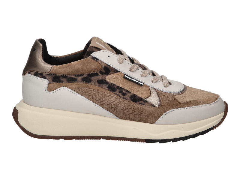 Bekijk product 'Floris Van Bommel Sneakers Taupe' Floris Van Bommel Sneakers Taupe