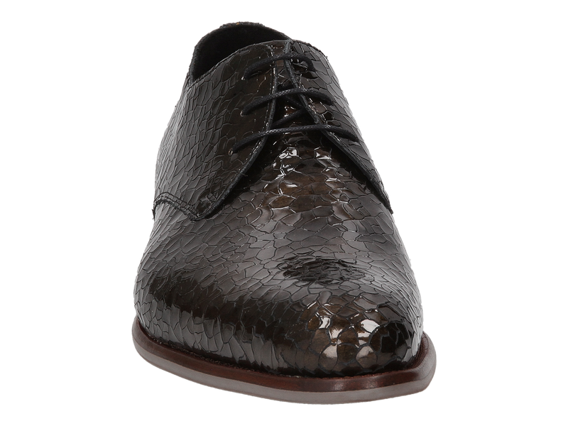 Floris Van Bommel Chaussures à Lacets Brun