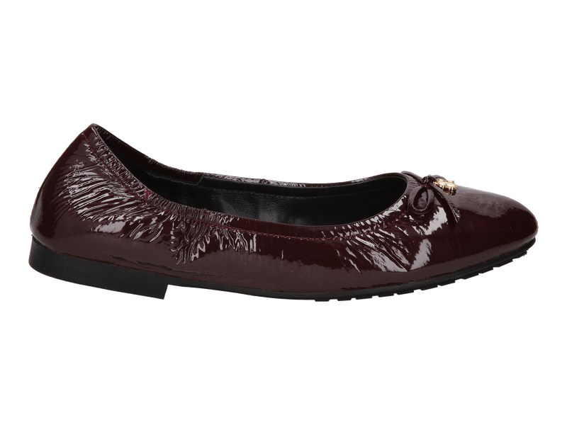 Blackrose Ballerines Bordeaux