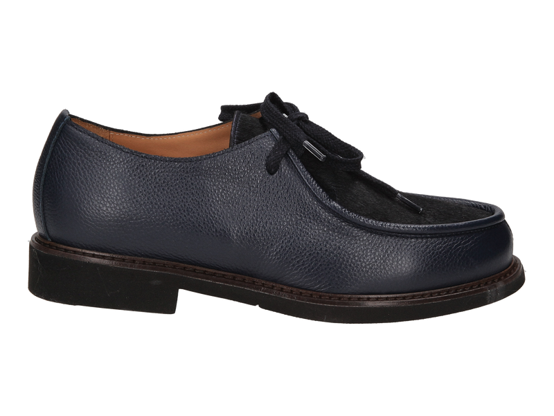 Fratelli Rosana Veterschoenen Blauw