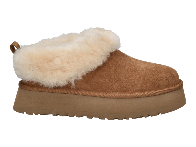 Ugg Boots Cognac