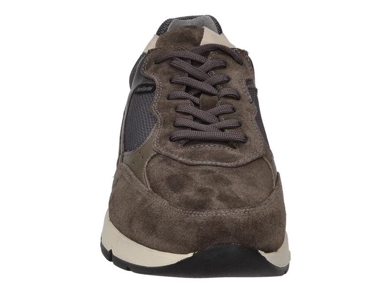 Nero Giardini Sneakers Kaki