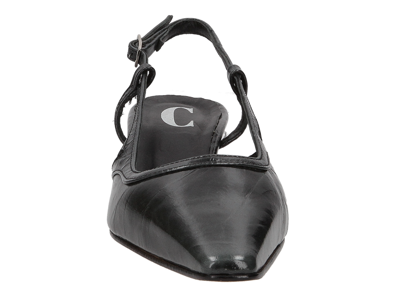 Cara Rosa Pumps Zwart