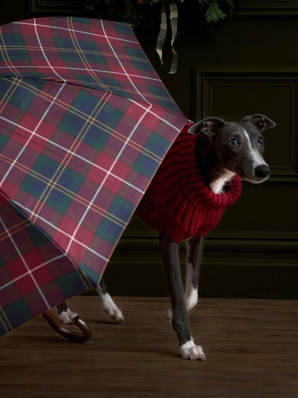 Cadeautips voor Kerst