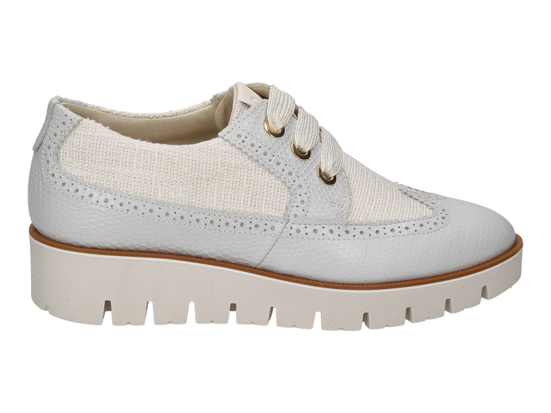 Dlsport Veterschoenen Blauw