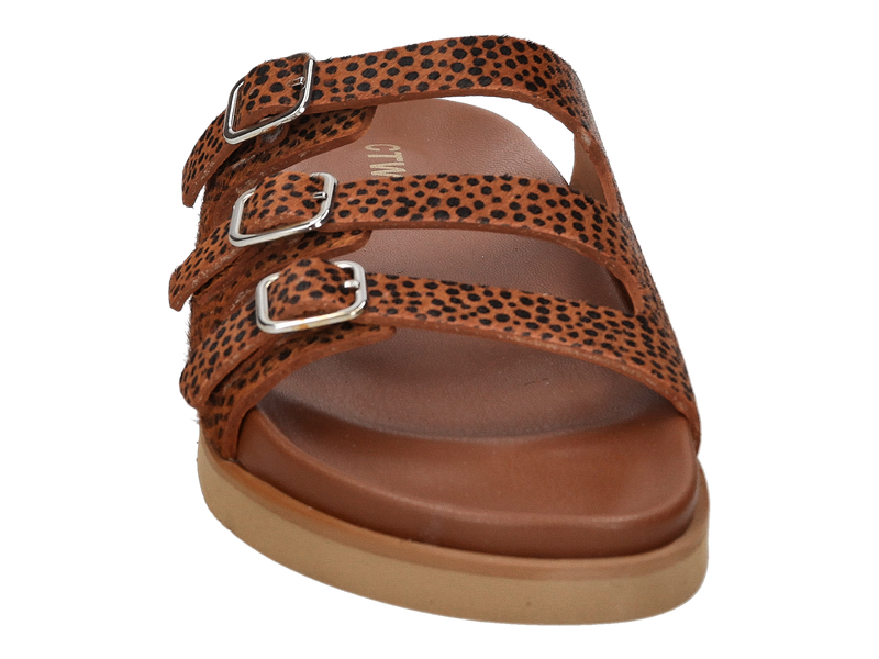 Ctwlk Slippers Bruin