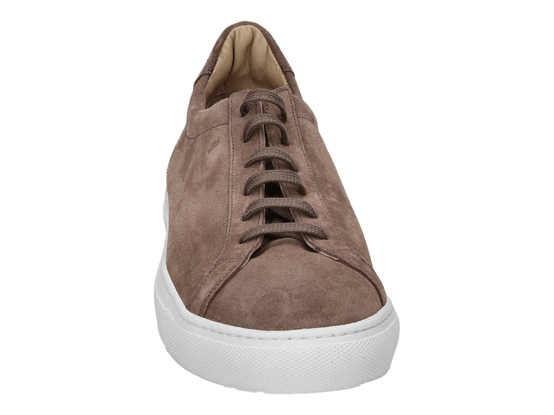 Voir le produit 'Van Bommel Baskets Taupe' (en anglais) Van Bommel Baskets Taupe