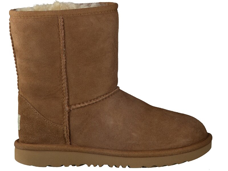 Ugg Boots Cognac