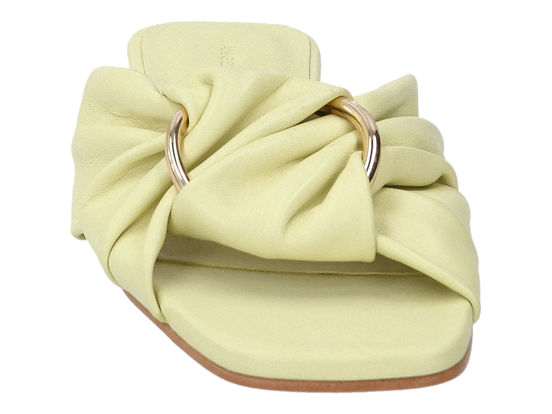 Angel Alarcon Muilen Geel