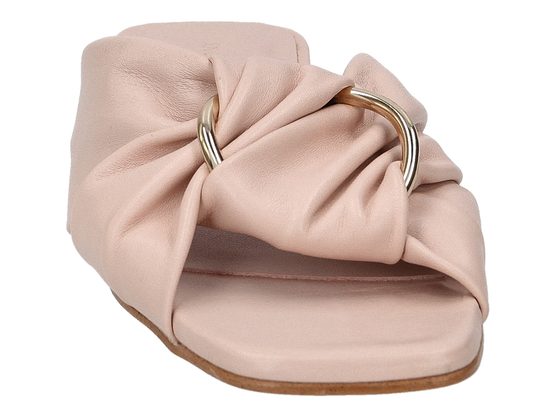 Angel Alarcon Muilen Roze