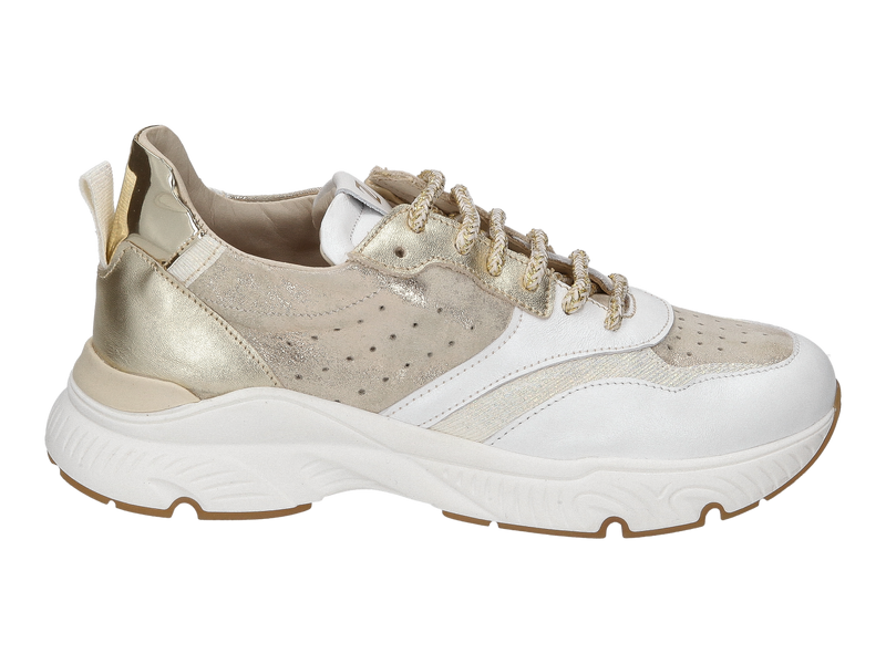 Zecchino D'oro Sneakers Goud