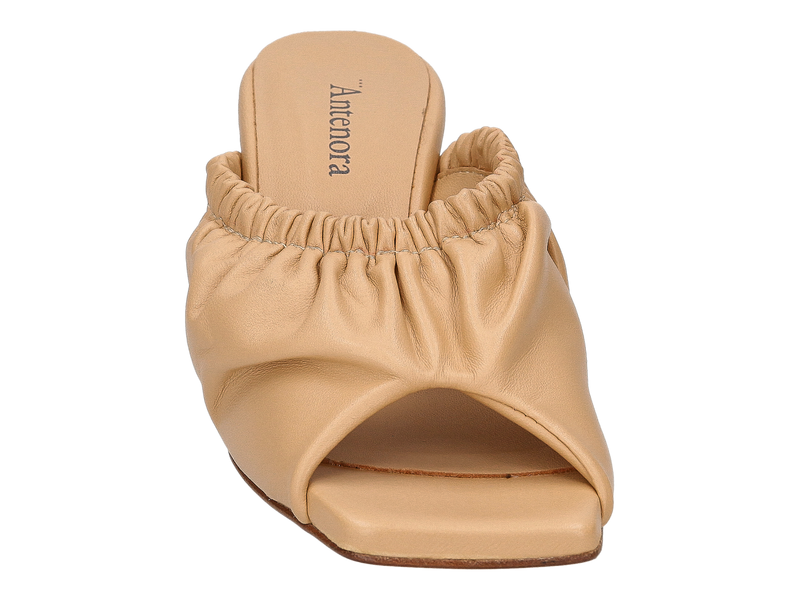 Antenora Muilen Geel