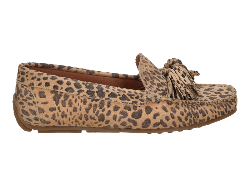 Voir le produit 'Ctwlk Mocassins Leopard' (en anglais) Ctwlk Mocassins Leopard