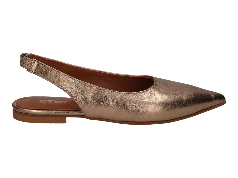 Voir le produit 'Ctwlk Slings Argent' (en anglais) Ctwlk Slings Argent