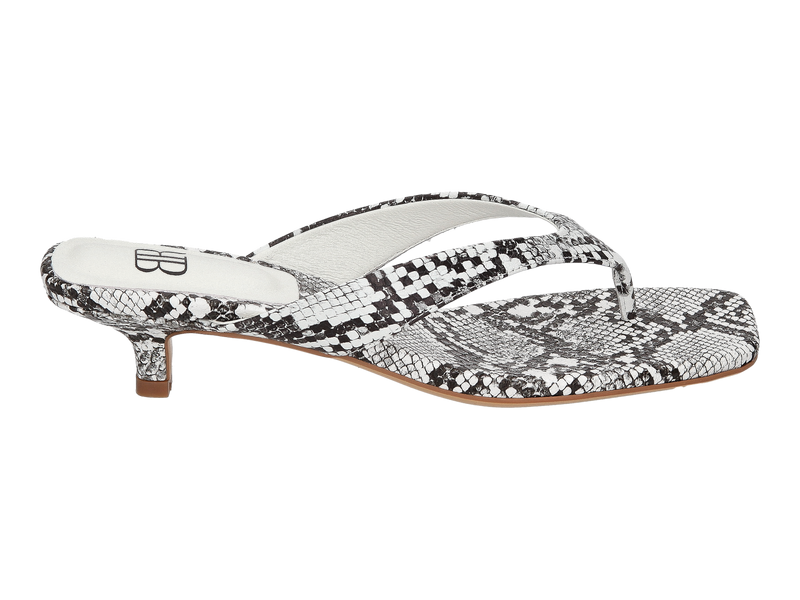 Voir le produit 'Blackrose Tongues Leopard' (en anglais) Blackrose Tongues Leopard