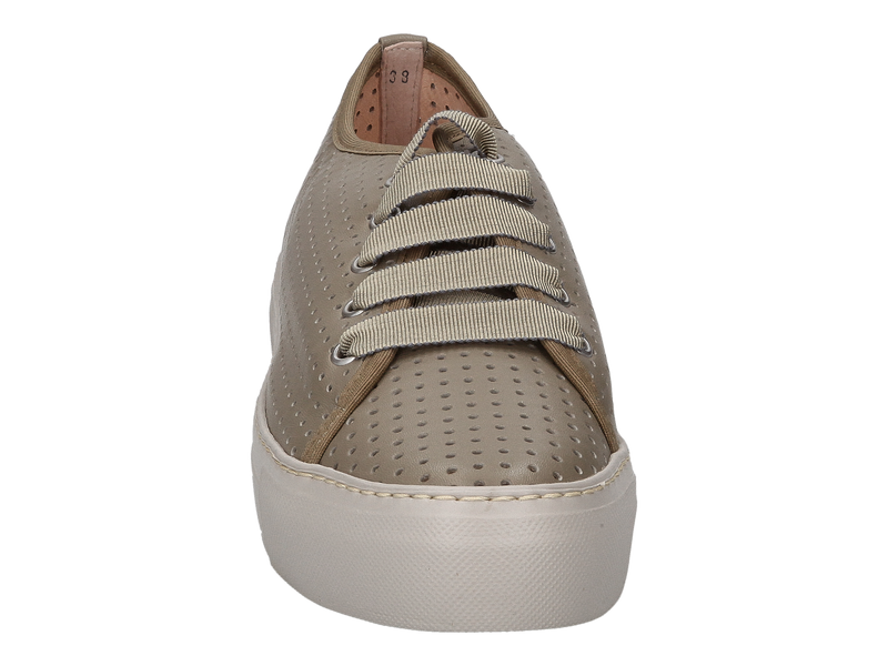 Voir le produit 'Agl Baskets Vert' (en anglais) Agl Baskets Vert