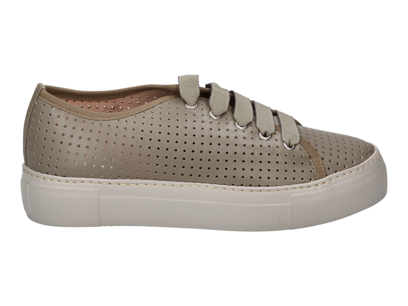 Voir le produit 'Agl Baskets Vert' (en anglais) Agl Baskets Vert