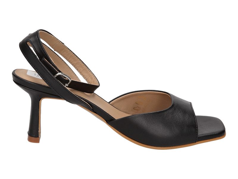 Voir le produit 'Angulus Sandales Noir' (en anglais) Angulus Sandales Noir